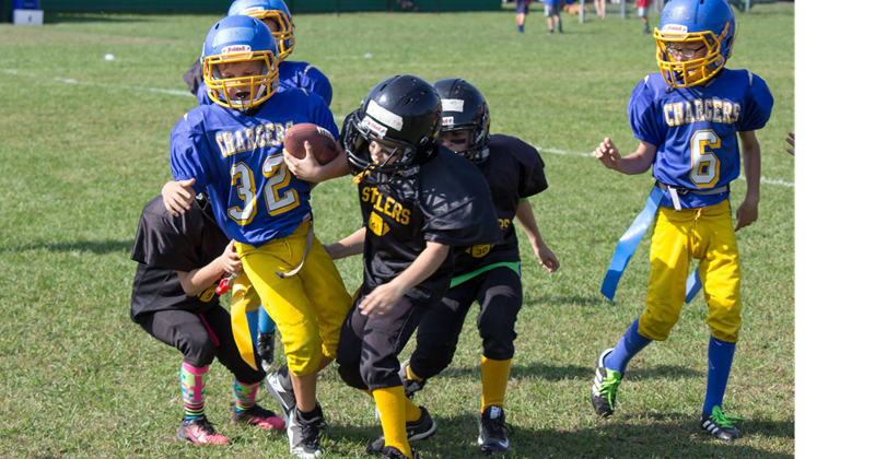 st albans steelers football